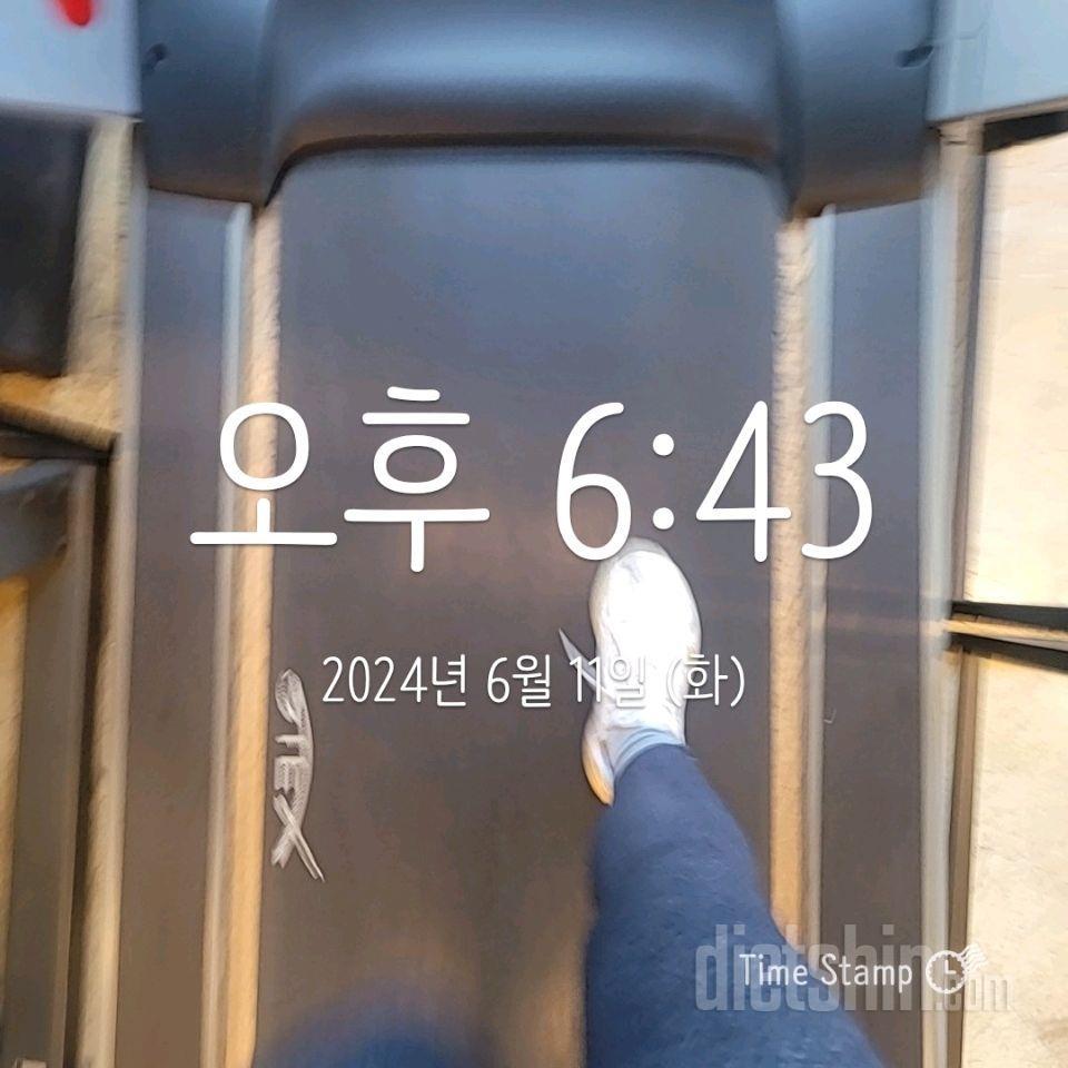 6월   보고 ㅡ생존 확인