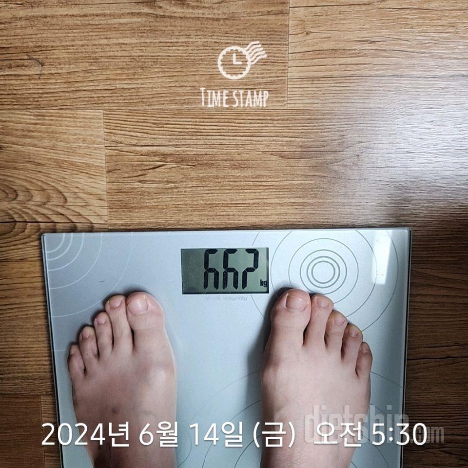 7일 아침 몸무게 재기182일차 성공!