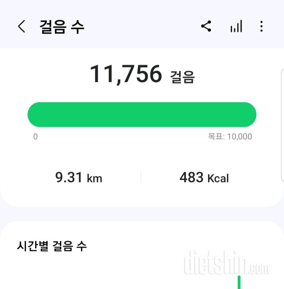 30일 만보 걷기23일차 성공!