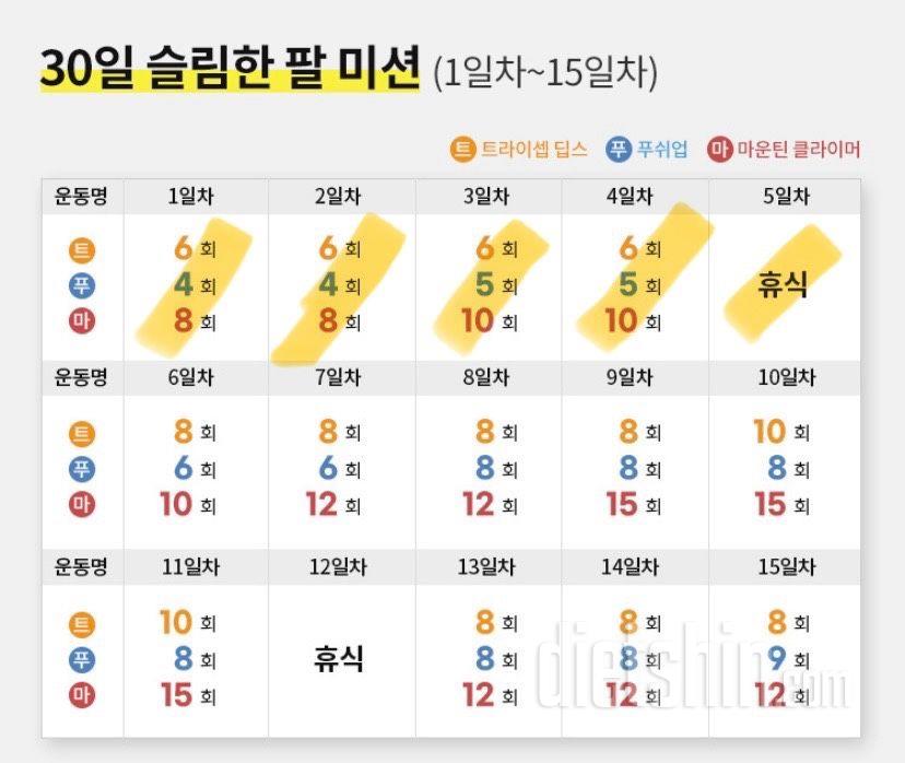 30일 슬림한 팔5일차 성공!