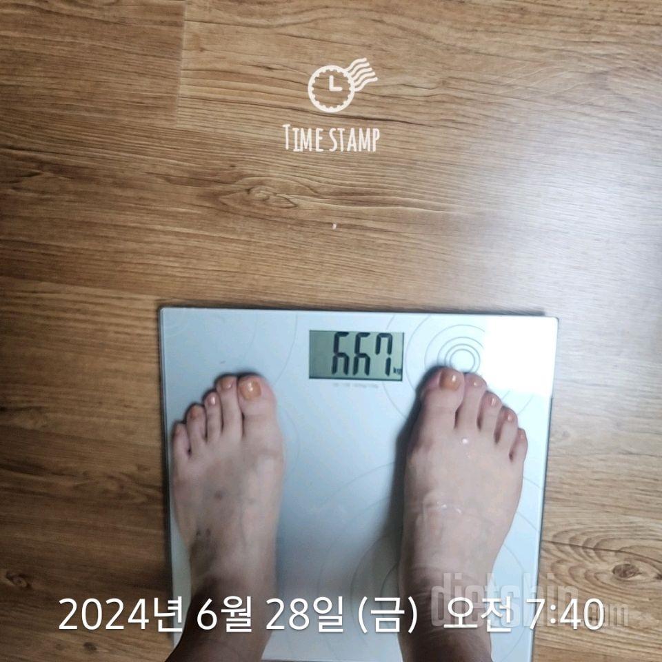 7일 아침 몸무게 재기196일차 성공!