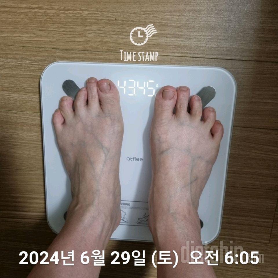 7일 아침 몸무게 재기145일차 성공!