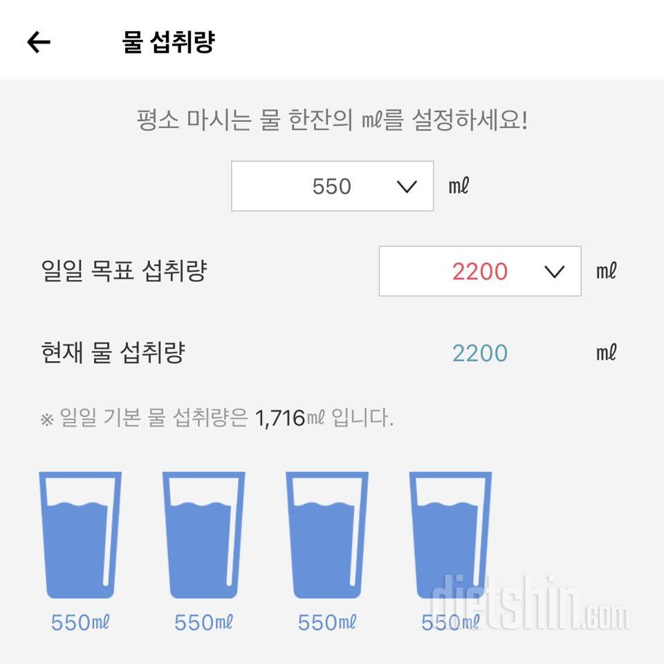 30일 하루 2L 물마시기3일차 성공!