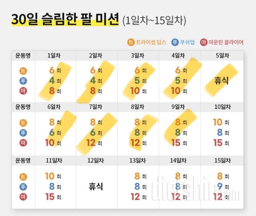 30일 슬림한 팔9일차 성공!