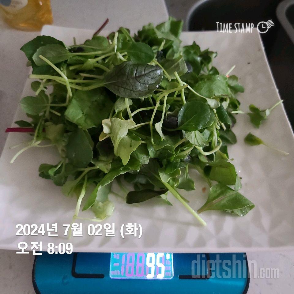 07월 02일( 아침식사 504kcal)