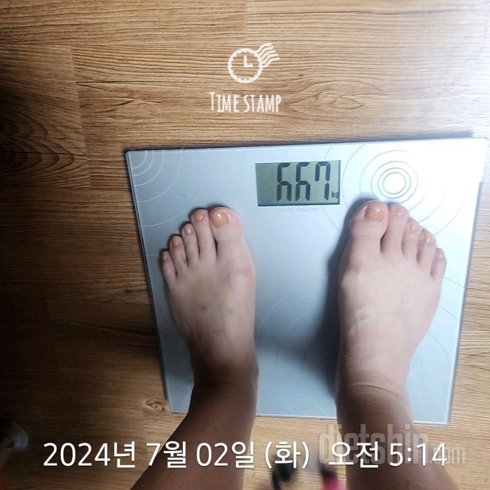 7일 아침 몸무게 재기200일차 성공!