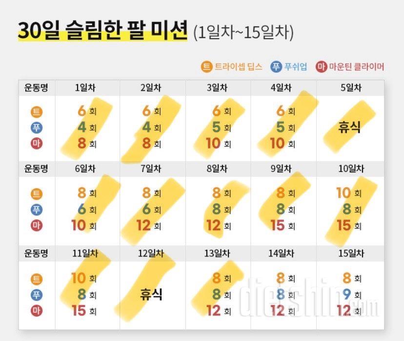 30일 슬림한 팔13일차 성공!