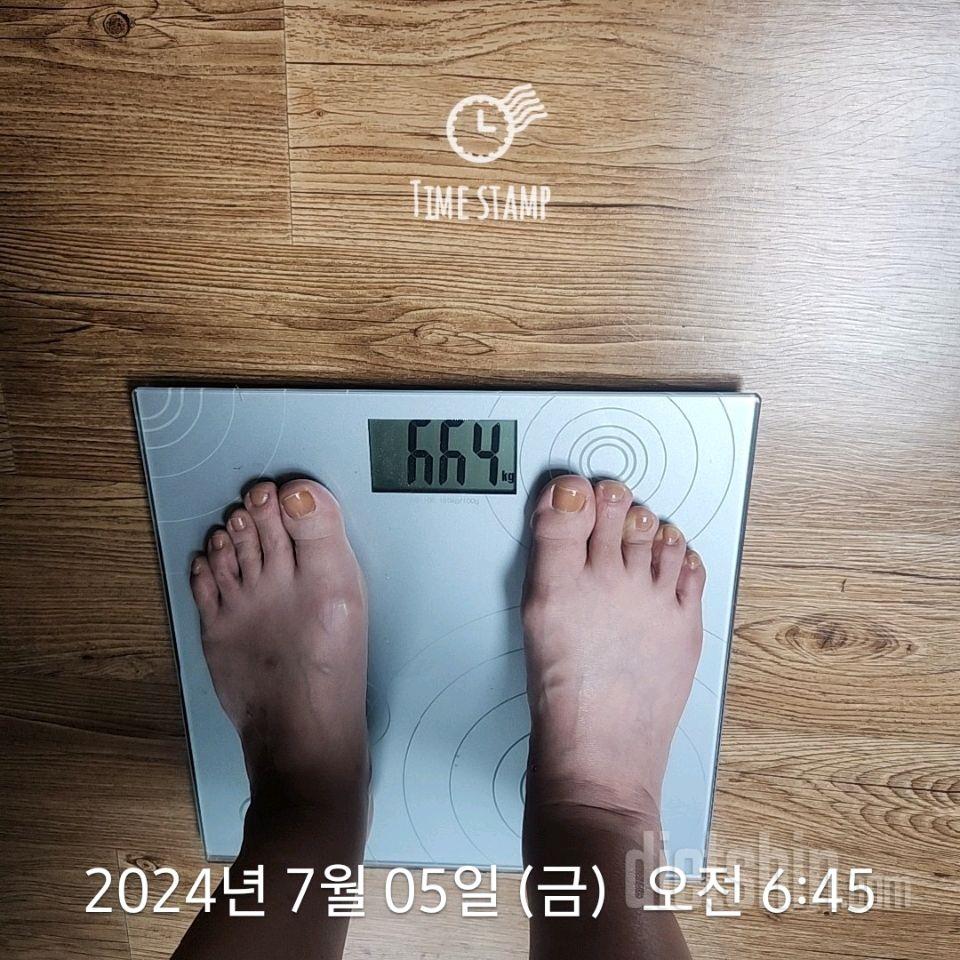 7일 아침 몸무게 재기203일차 성공!