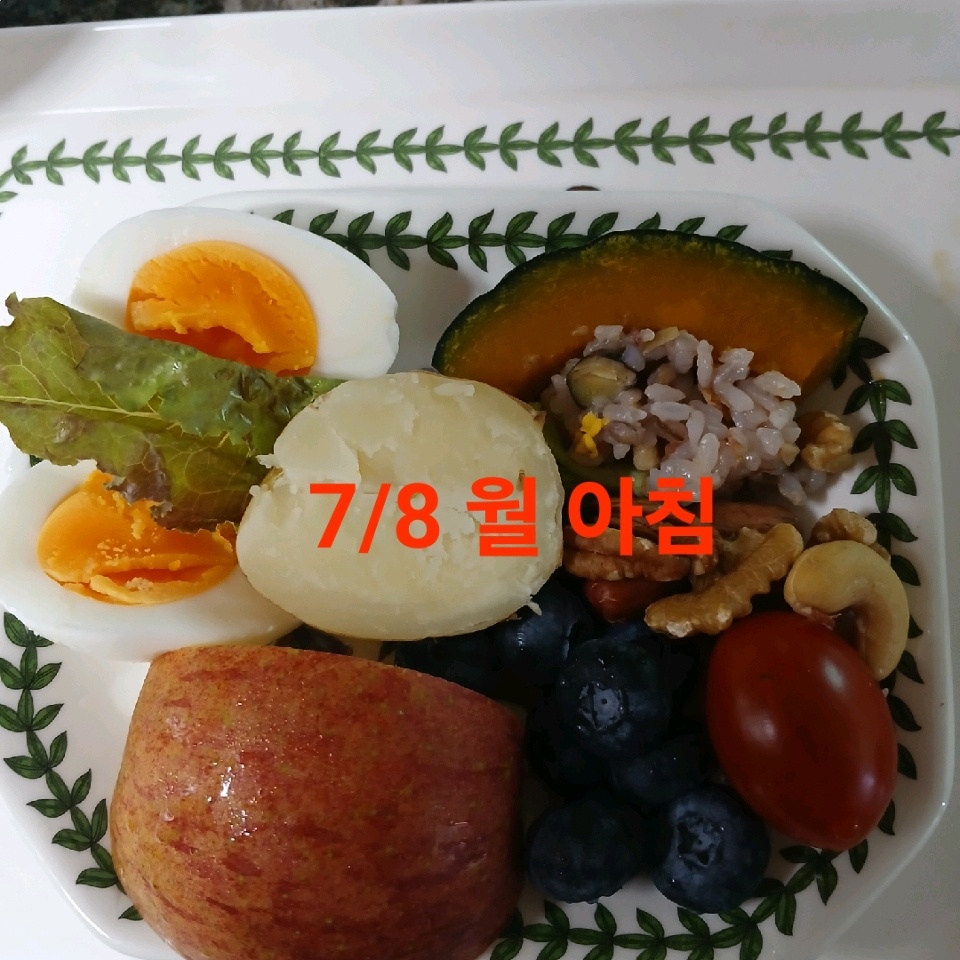 07월 08일( 아침식사 204kcal)