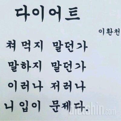 다이어트 자극