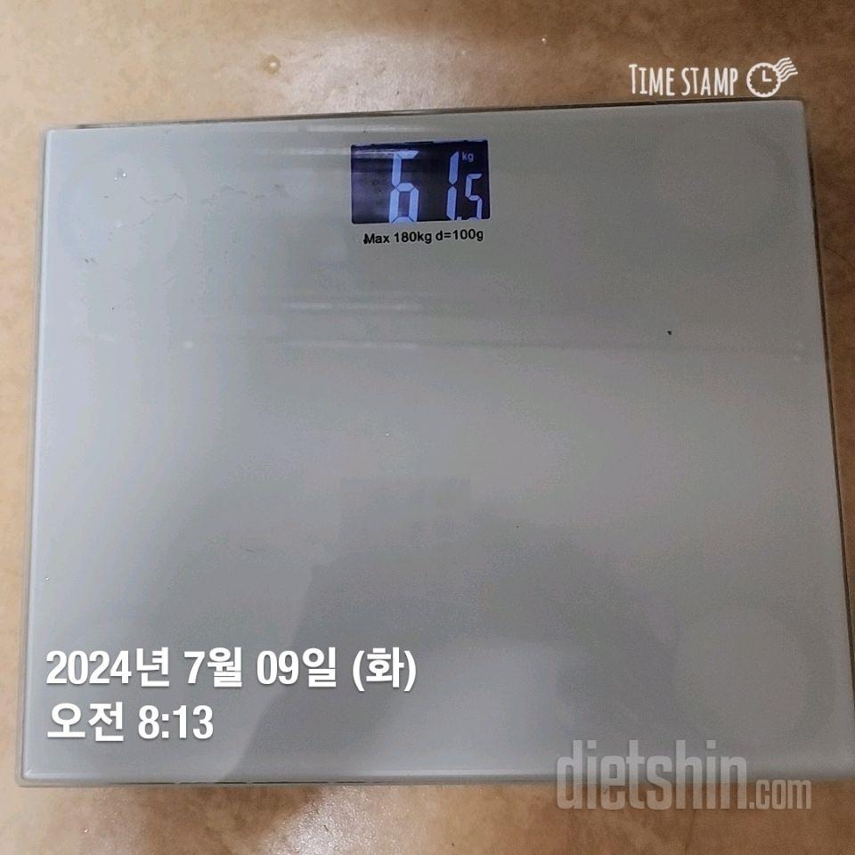 7.8화61.5