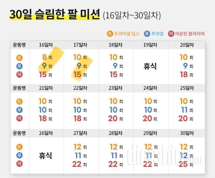 30일 슬림한 팔17일차 성공!