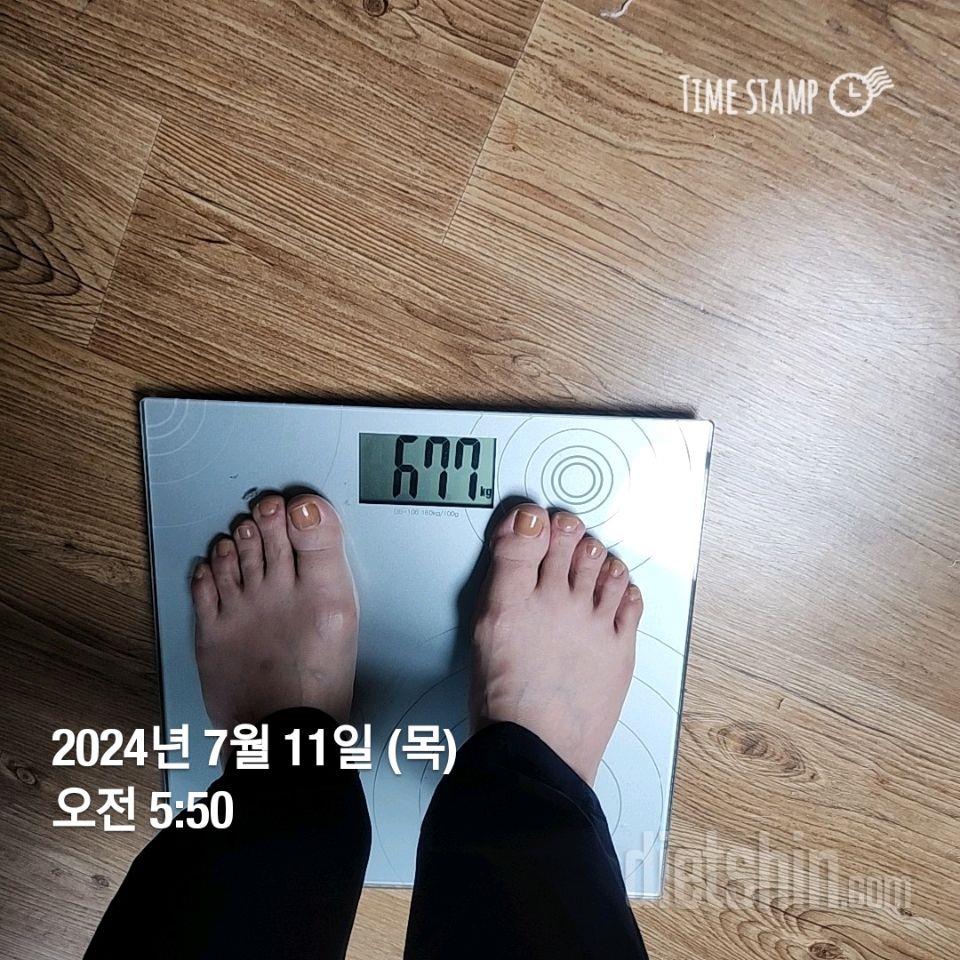 7일 아침 몸무게 재기206일차 성공!