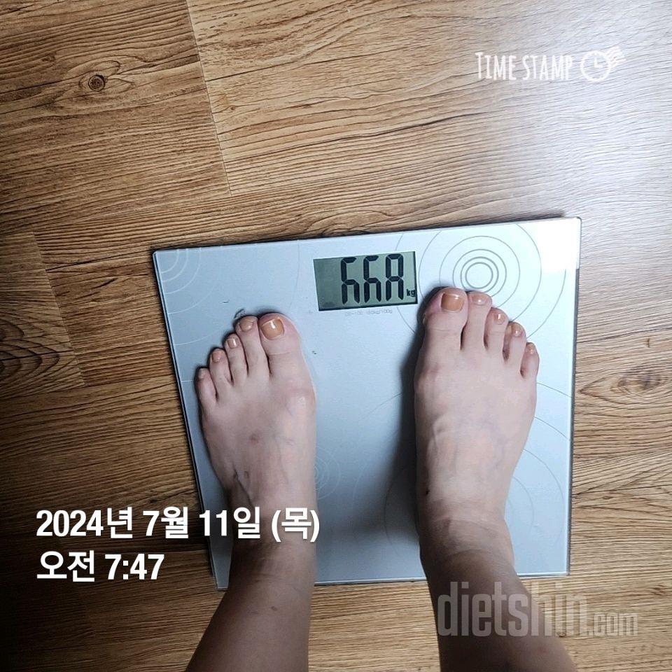 7일 아침 몸무게 재기206일차 성공!