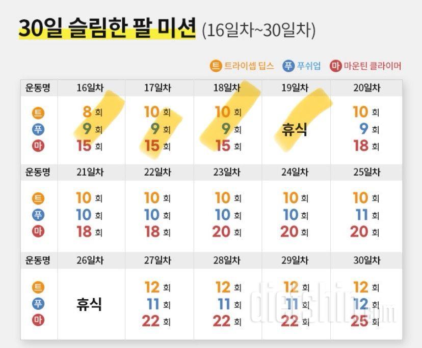 30일 슬림한 팔19일차 성공!