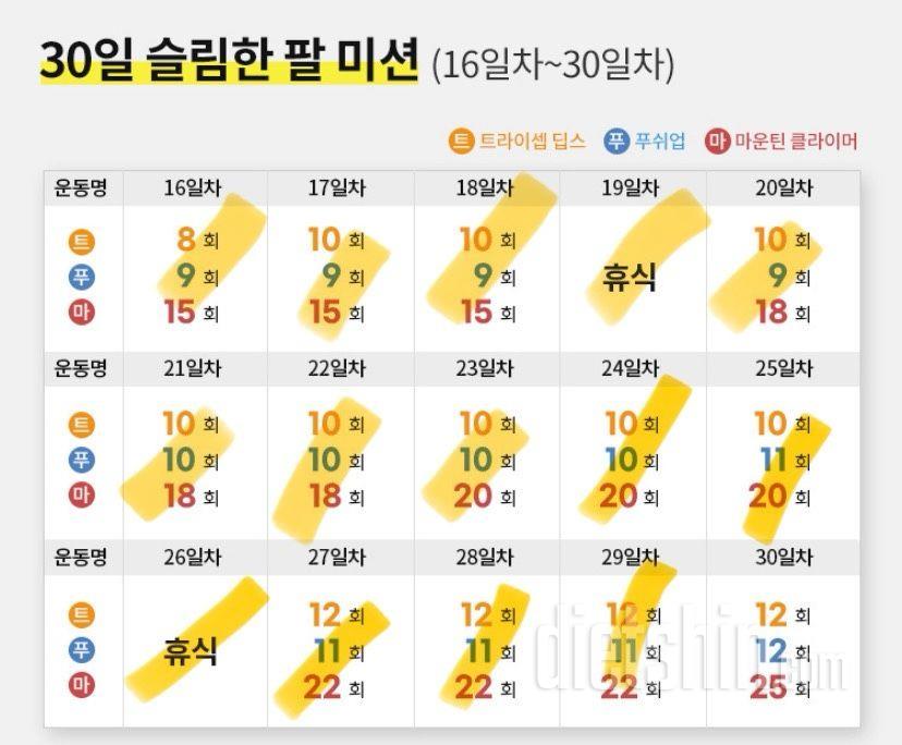 30일 슬림한 팔29일차 성공!