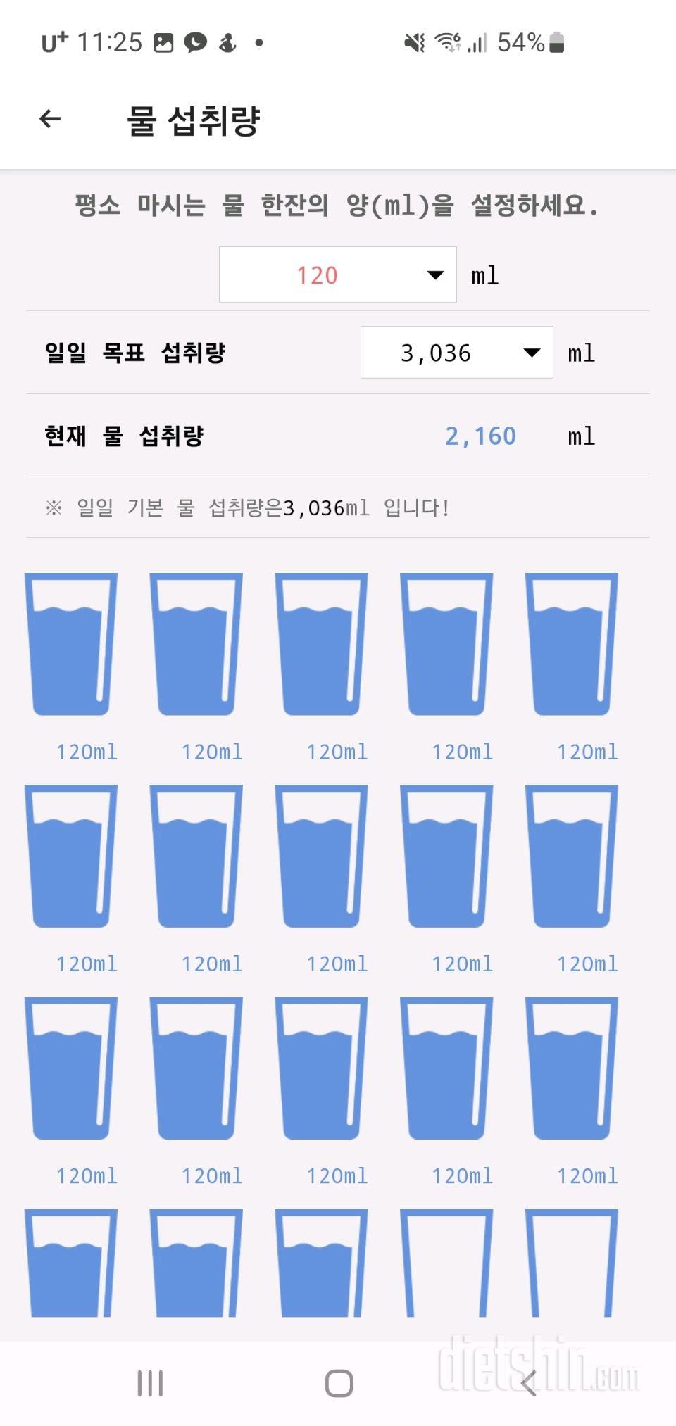 30일 하루 2L 물마시기2일차 성공!