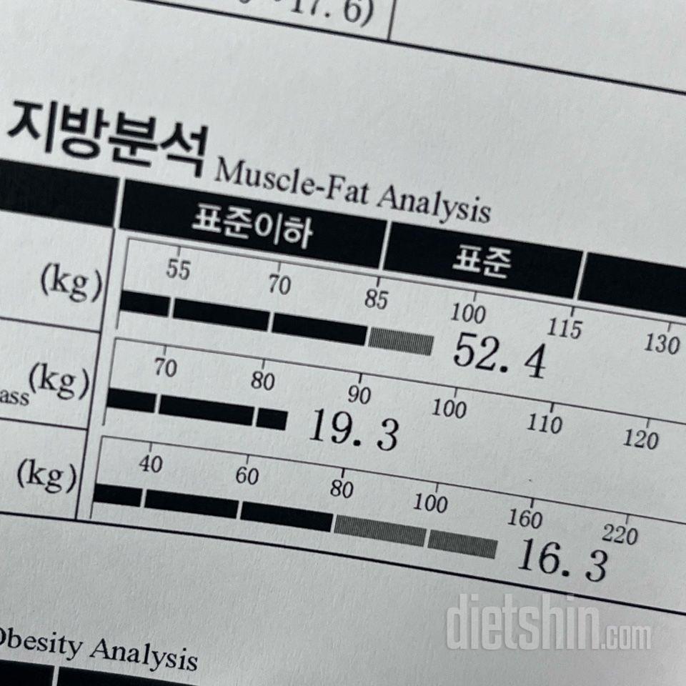 여름 한달 다이어트 시작