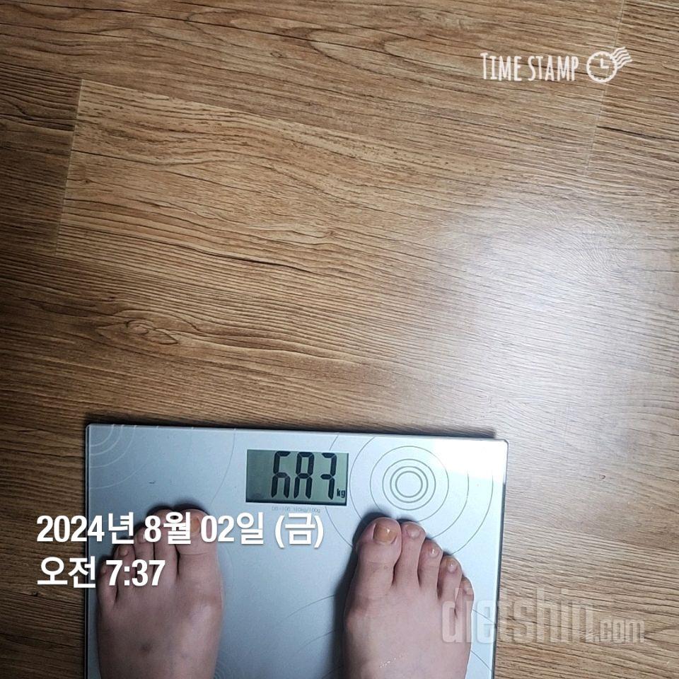 7일 아침 몸무게 재기226일차 성공!