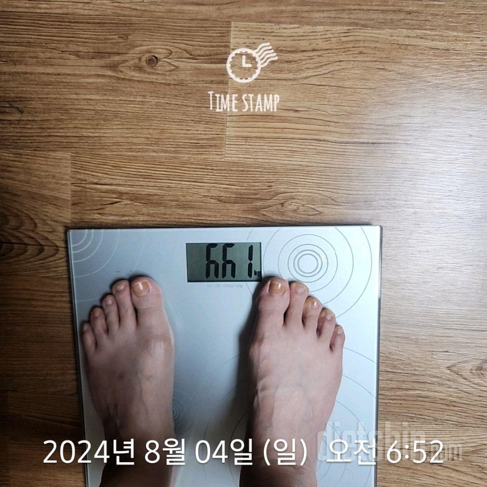 7일 아침 몸무게 재기228일차 성공!