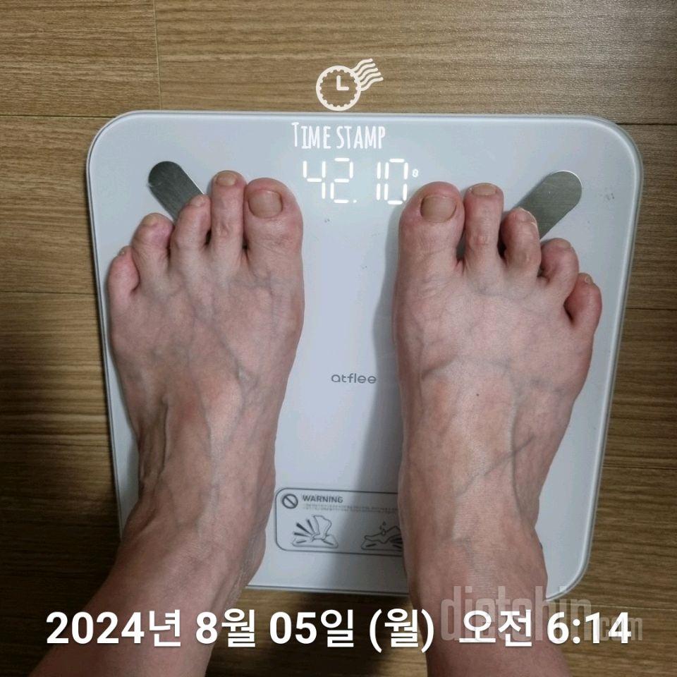 7일 아침 몸무게 재기169일차 성공!