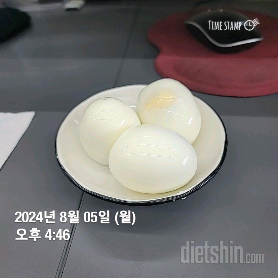 스위치온 2차 도전  1일차