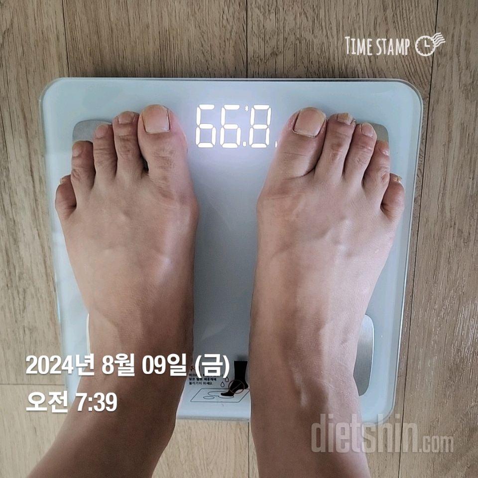 7일 아침 몸무게 재기47일차 성공!