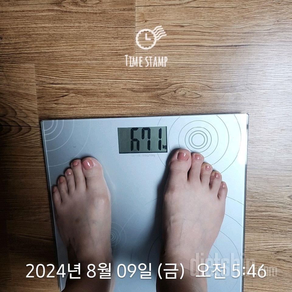 7일 아침 몸무게 재기233일차 성공!