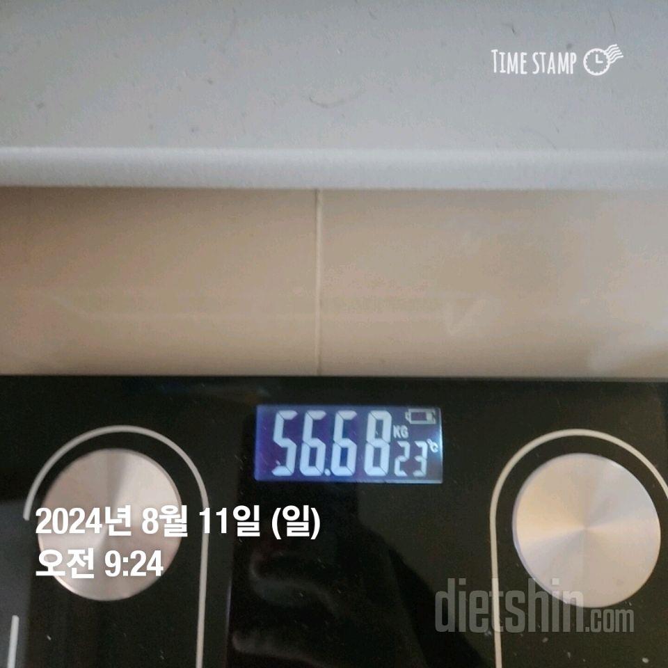 7일 아침 몸무게 재기1일차 성공!