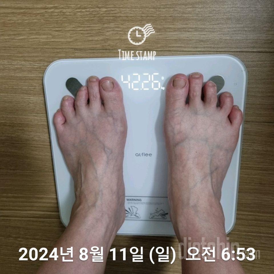 7일 아침 몸무게 재기175일차 성공!