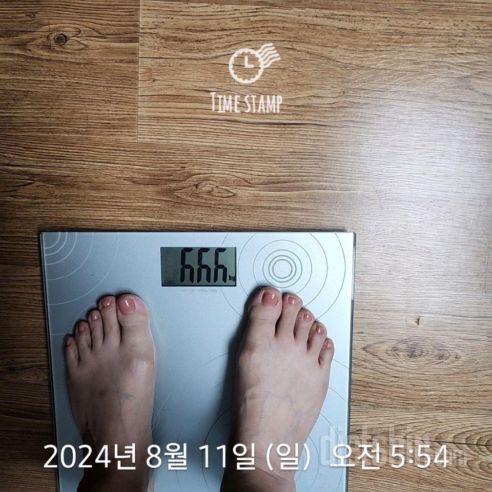 7일 아침 몸무게 재기235일차 성공!