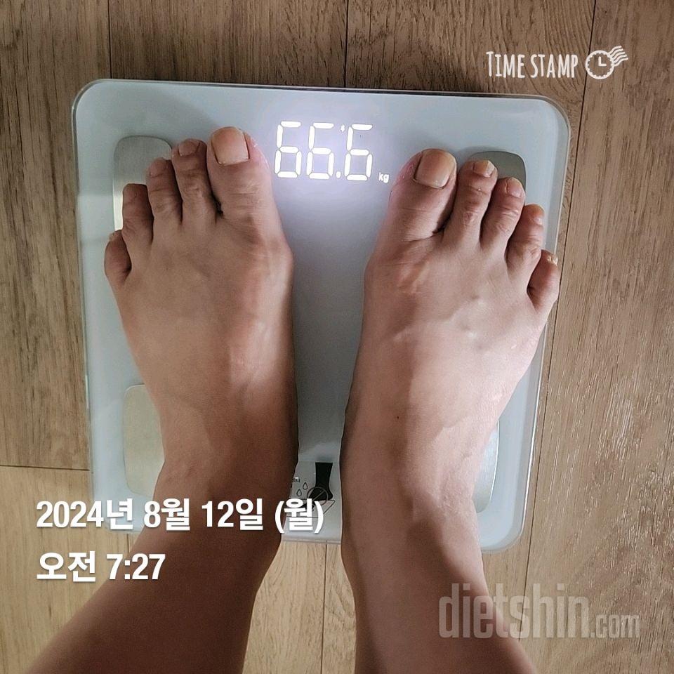 7일 아침 몸무게 재기50일차 성공!