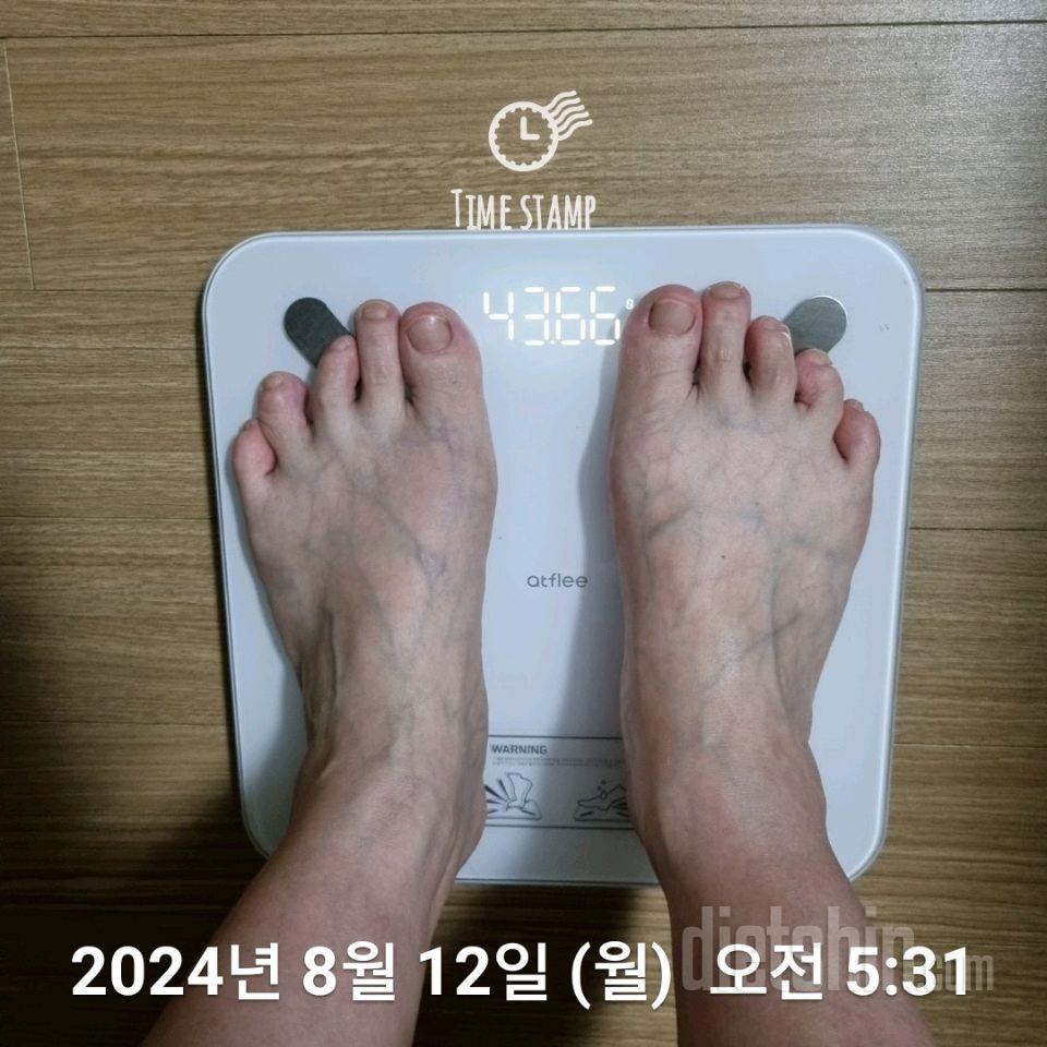 7일 아침 몸무게 재기176일차 성공!