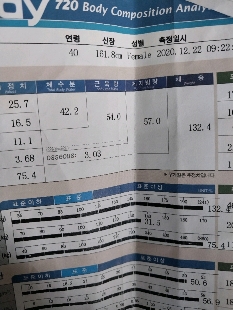 3년 8개월 동안 다이어트 결과