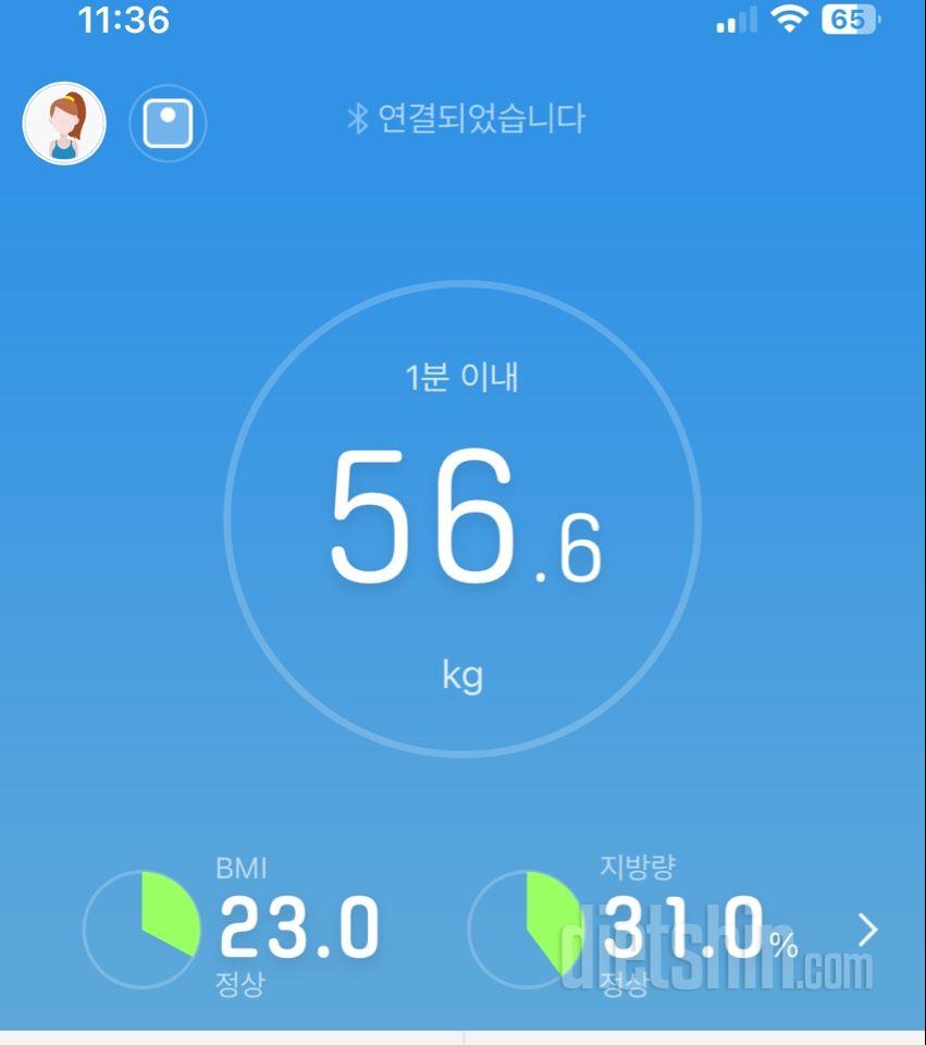 7일 아침 몸무게 재기8일차 성공!