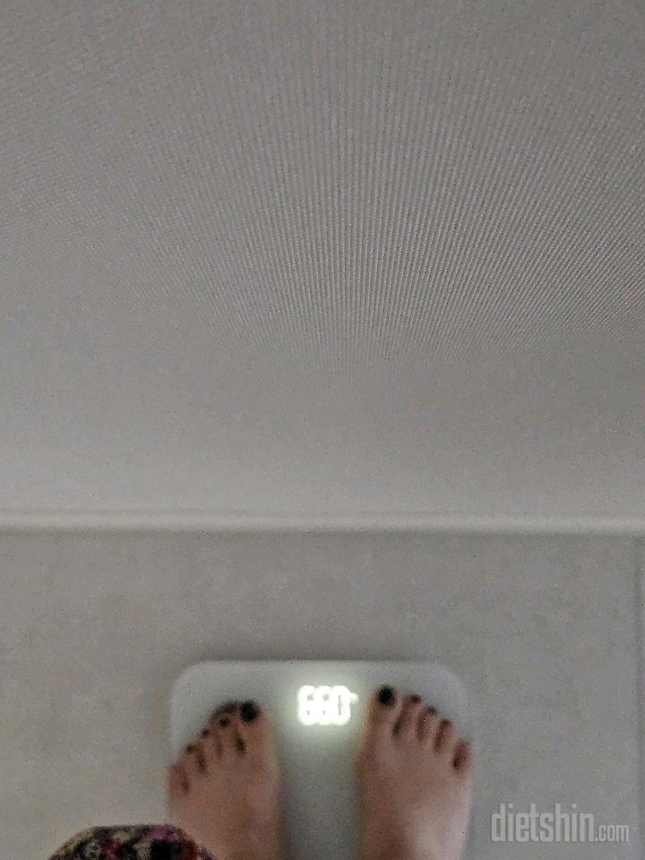 7일 아침 몸무게 재기60일차 성공!