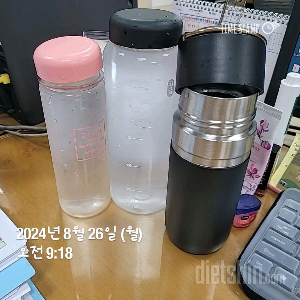 124일차