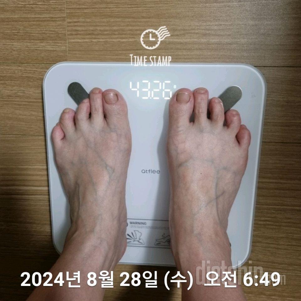 7일 아침 몸무게 재기183일차 성공!