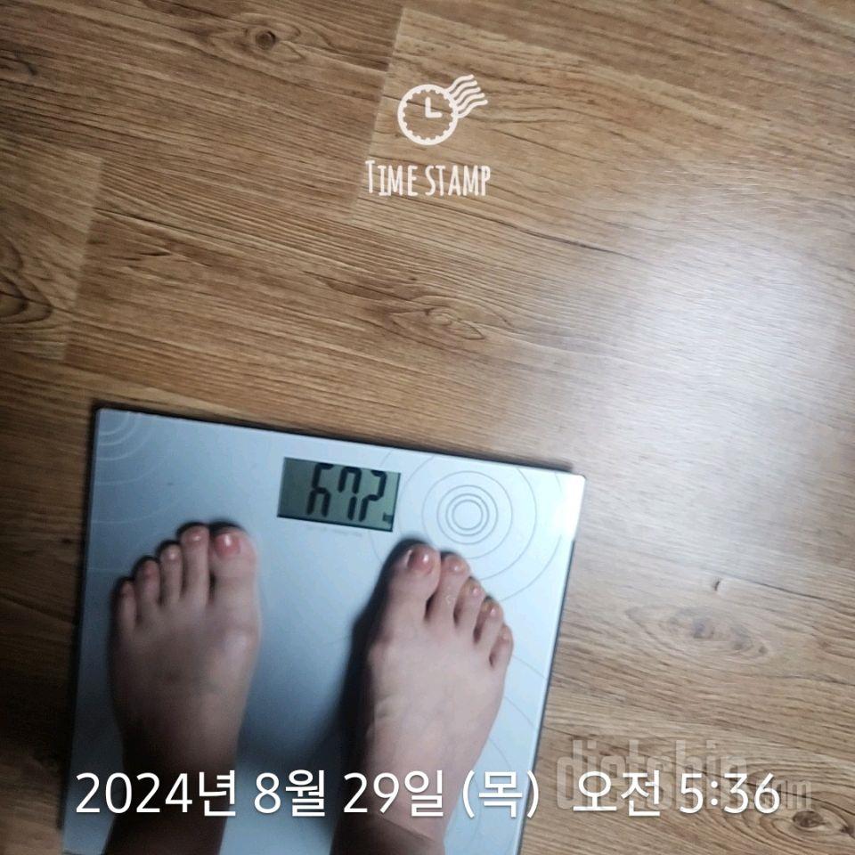 7일 아침 몸무게 재기253일차 성공!