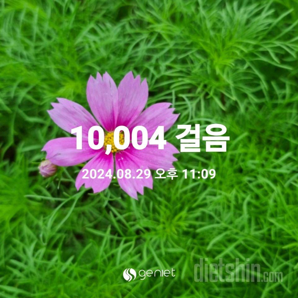 30일 체지방 줄이기65일차 성공!