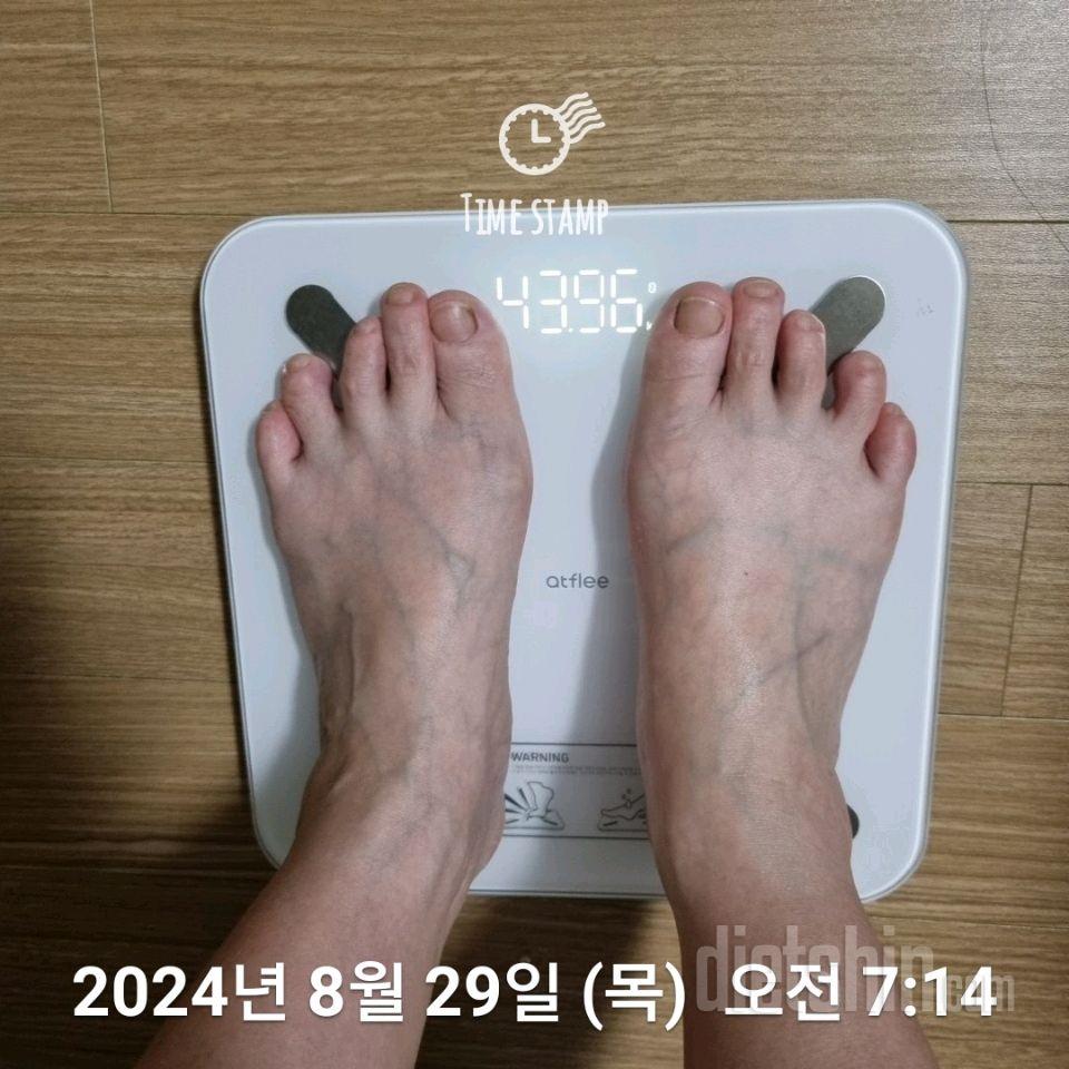 7일 아침 몸무게 재기184일차 성공!