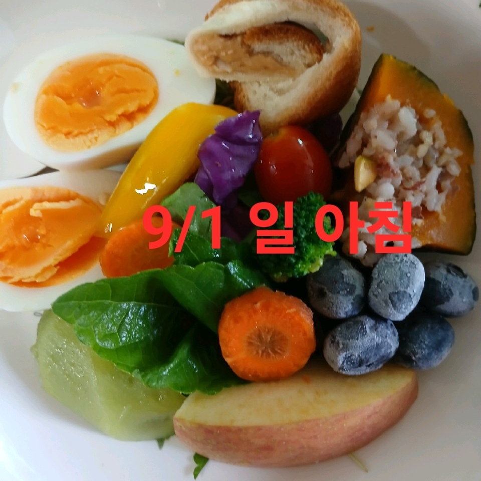 09월 01일( 아침식사 )