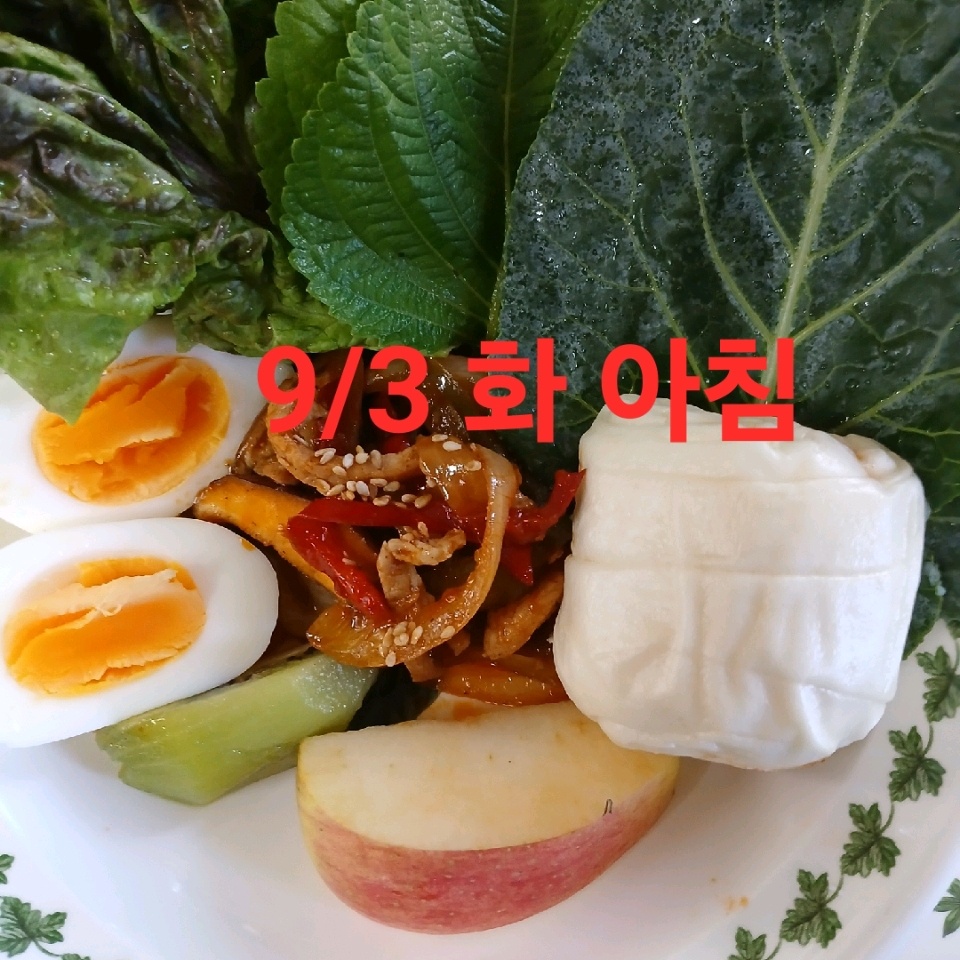 09월 03일( 아침식사 )