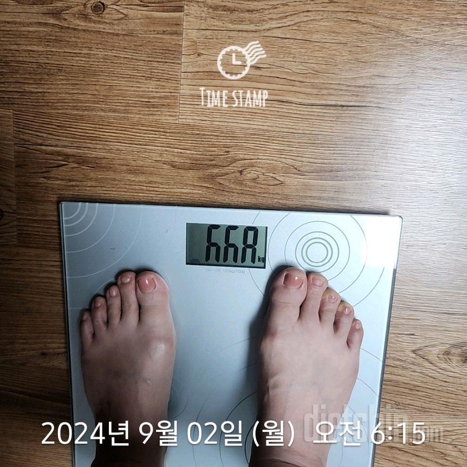 7일 아침 몸무게 재기257일차 성공!