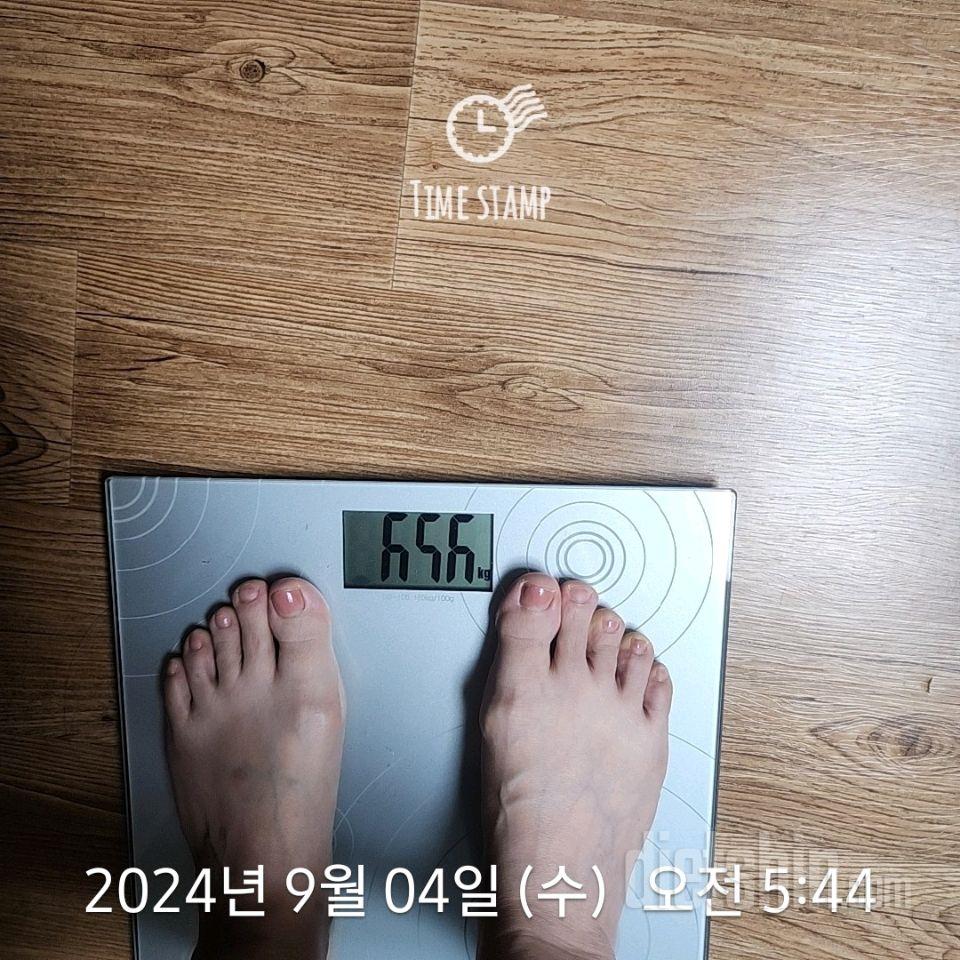 7일 아침 몸무게 재기259일차 성공!