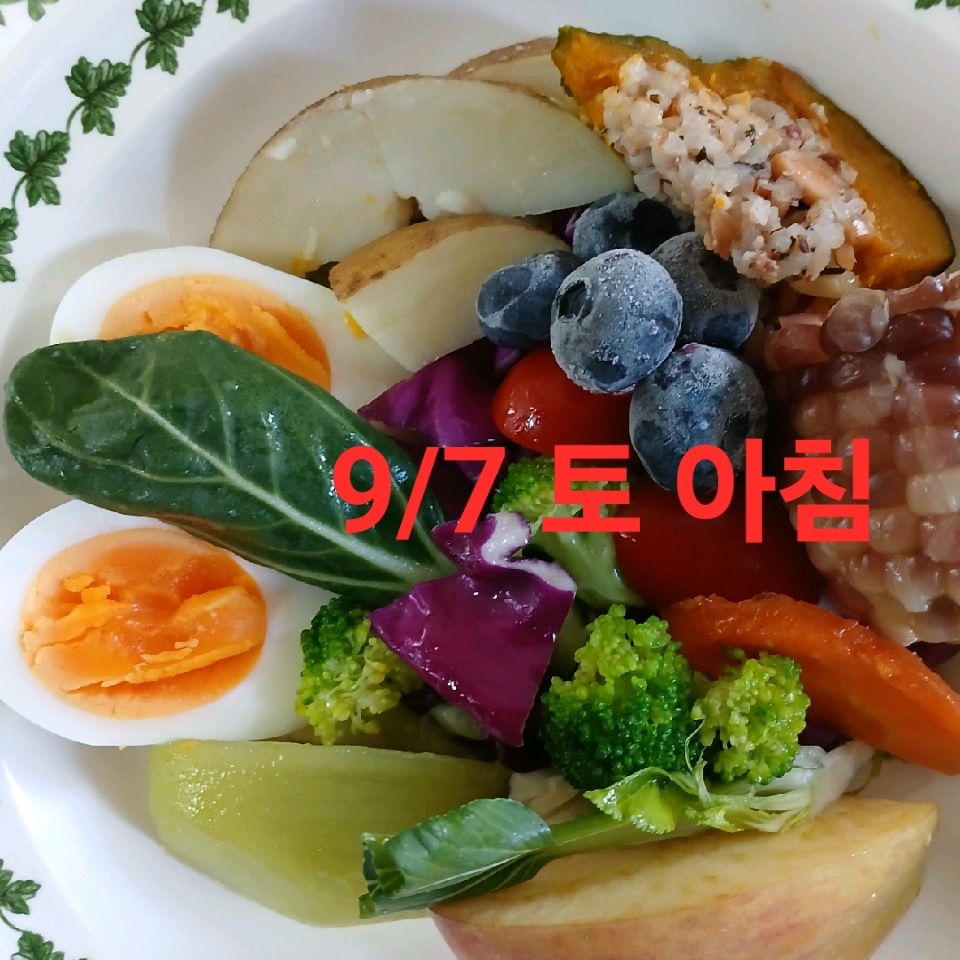 09월 07일( 아침식사 291kcal)