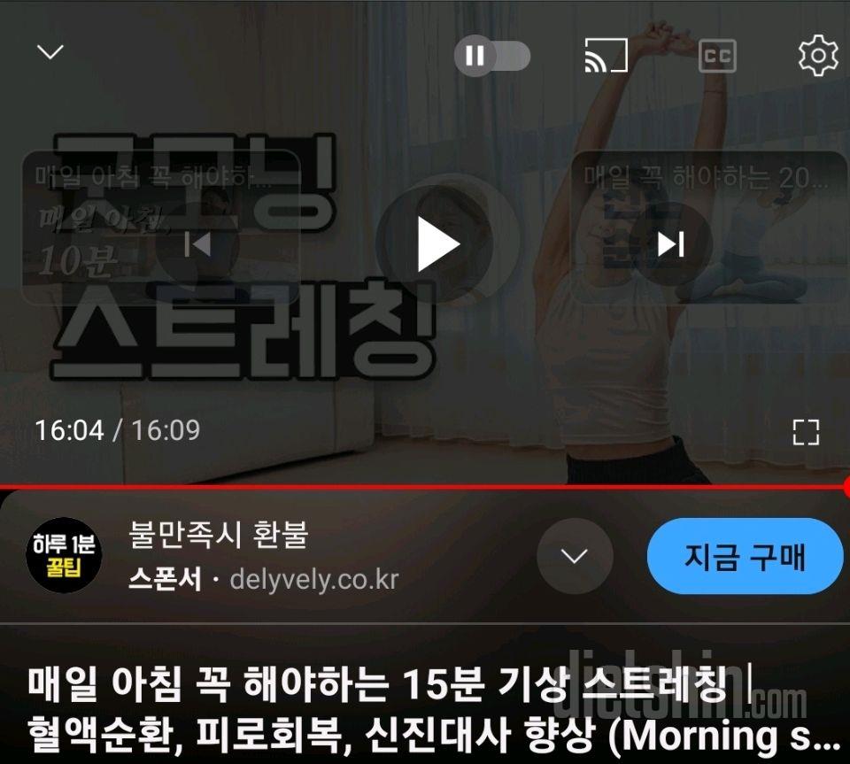 30일 아침 스트레칭491일차 성공!