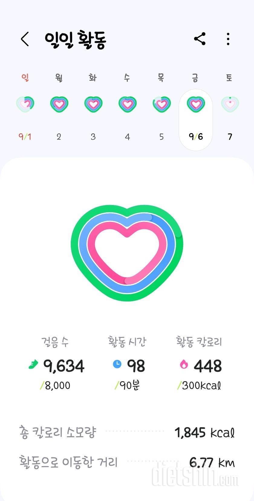 30일 만보 걷기5일차 성공!