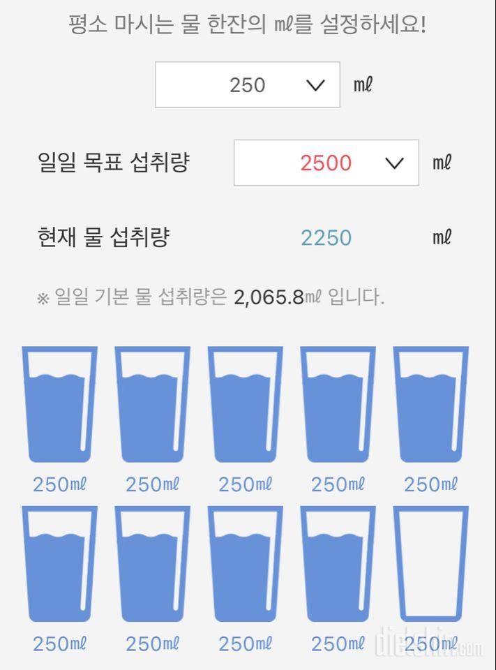 30일 하루 2L 물마시기4일차 성공!