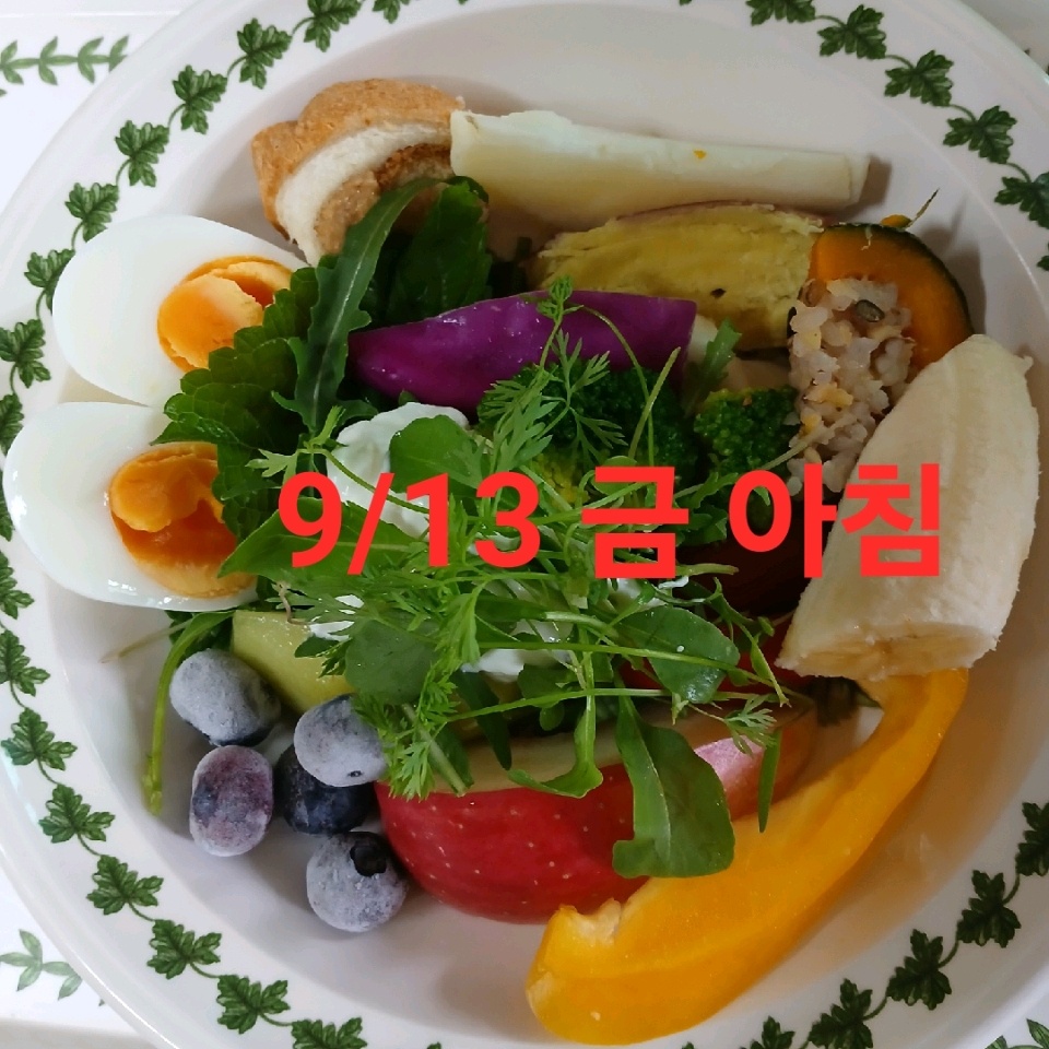 09월 13일( 아침식사 297kcal)